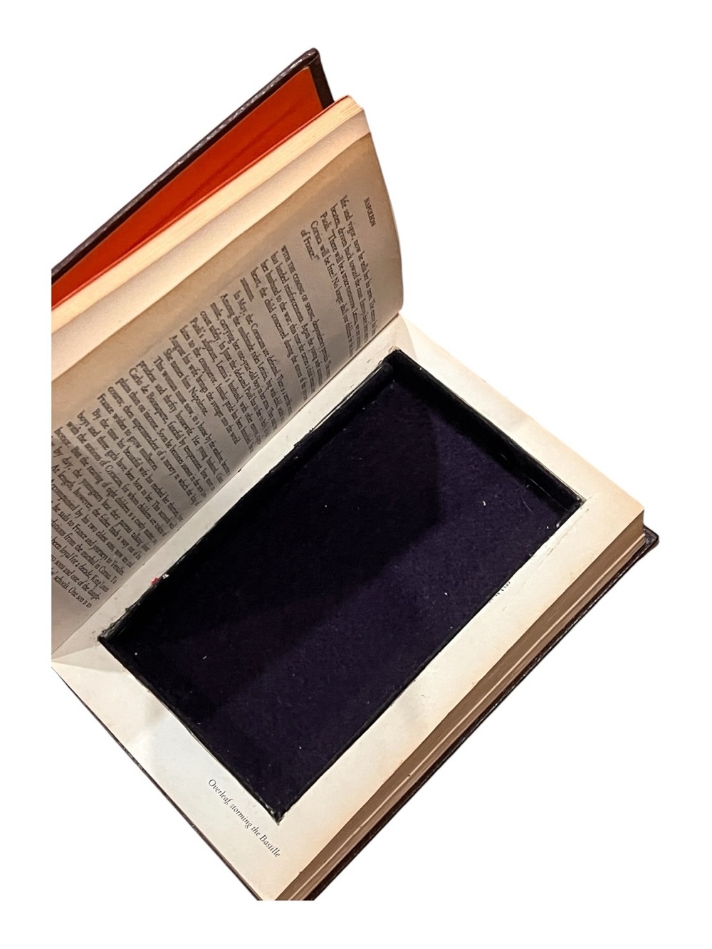 Hidden book safe